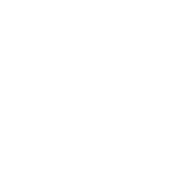 zoyelLogogif
